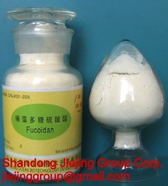 China Fucoidan, alga marrón proveedor