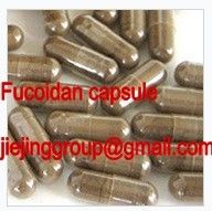 China Fucoidano puro proveedor