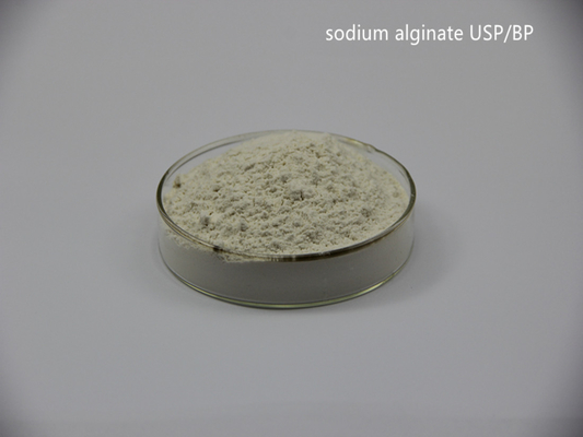 China Solución de alginato sódico de 300-700mpa.s al 10% proveedor