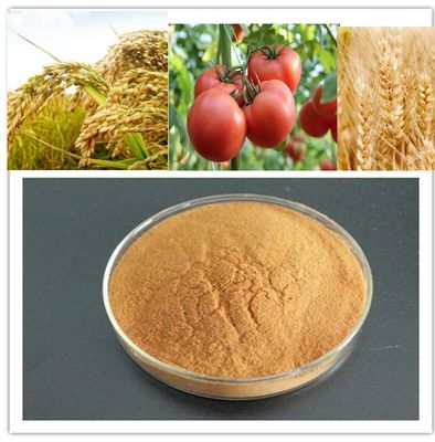 China Uso agrícola del oligosacárido de quitosano proveedor