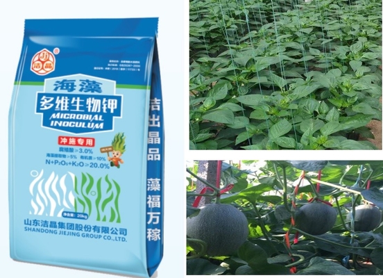 China Fertilizante de algas soluble en agua proveedor