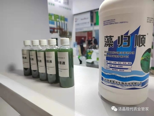 China extracto de algas marinas como bioestimulante proveedor