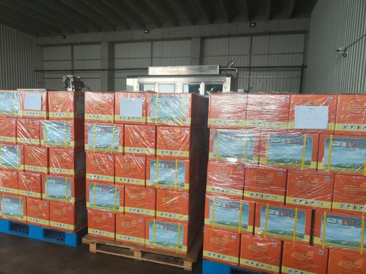 China Productos fertilizantes de extracto de algas marinas proveedor