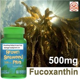 extractos de algas marinas laminaria japonica aceite de fucoxantina al 1%, polvo CAS no.3351-86-8 de alta pureza proveedor