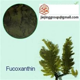 Fucoxantina 1% 5% de aceite, extracto de undaria pinnatifida harvey (algas wakame) proveedor