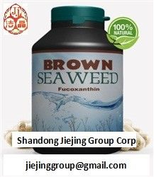 Fucoxantina, extracto natural de algas marinas marrones wakame 1%, 5%, 10% 20% de los ingredientes en polvo proveedor
