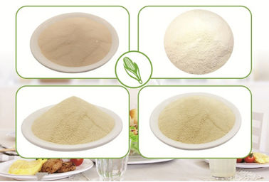 Utilizaciones del polvo de goma de xantana, fabricantes de goma de xantana proveedor