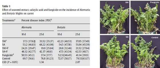 Oligosacáridos de alginato para la agricultura como fertilizante vegetal, bioestimulantes agrícolas proveedor