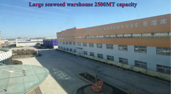 Productos de extracto de algas marinas proveedor