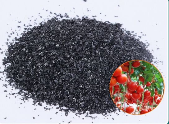 Extracto de algas Ácido algínico Fertilizante de algas concentrado Fertilizante de algas soluble en agua Extracto de algas proveedor