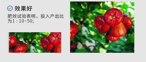 ascophyllum nodosum fertilizante proveedor