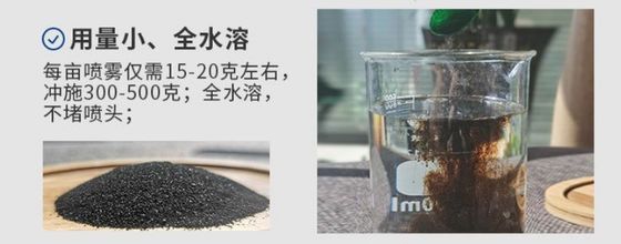extracto de algas marinas soluble en polvo proveedor