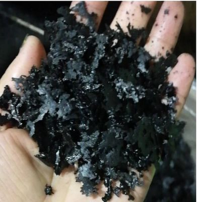 FERTILIZADOR en polvo de extracto de algas marinas proveedor