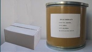 extracto de algas marinas marrones fucoidan proveedor
