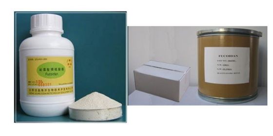 extracto de algas marinas marrones fucoidan proveedor