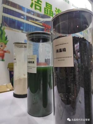 extracto de algas marinas como bioestimulante proveedor